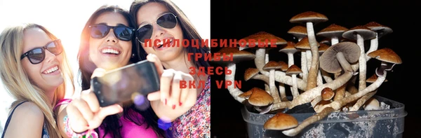 крисы Абинск