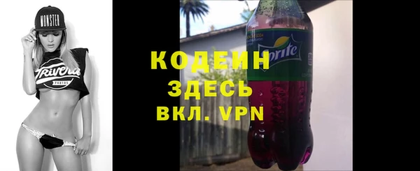 стаф Дегтярск